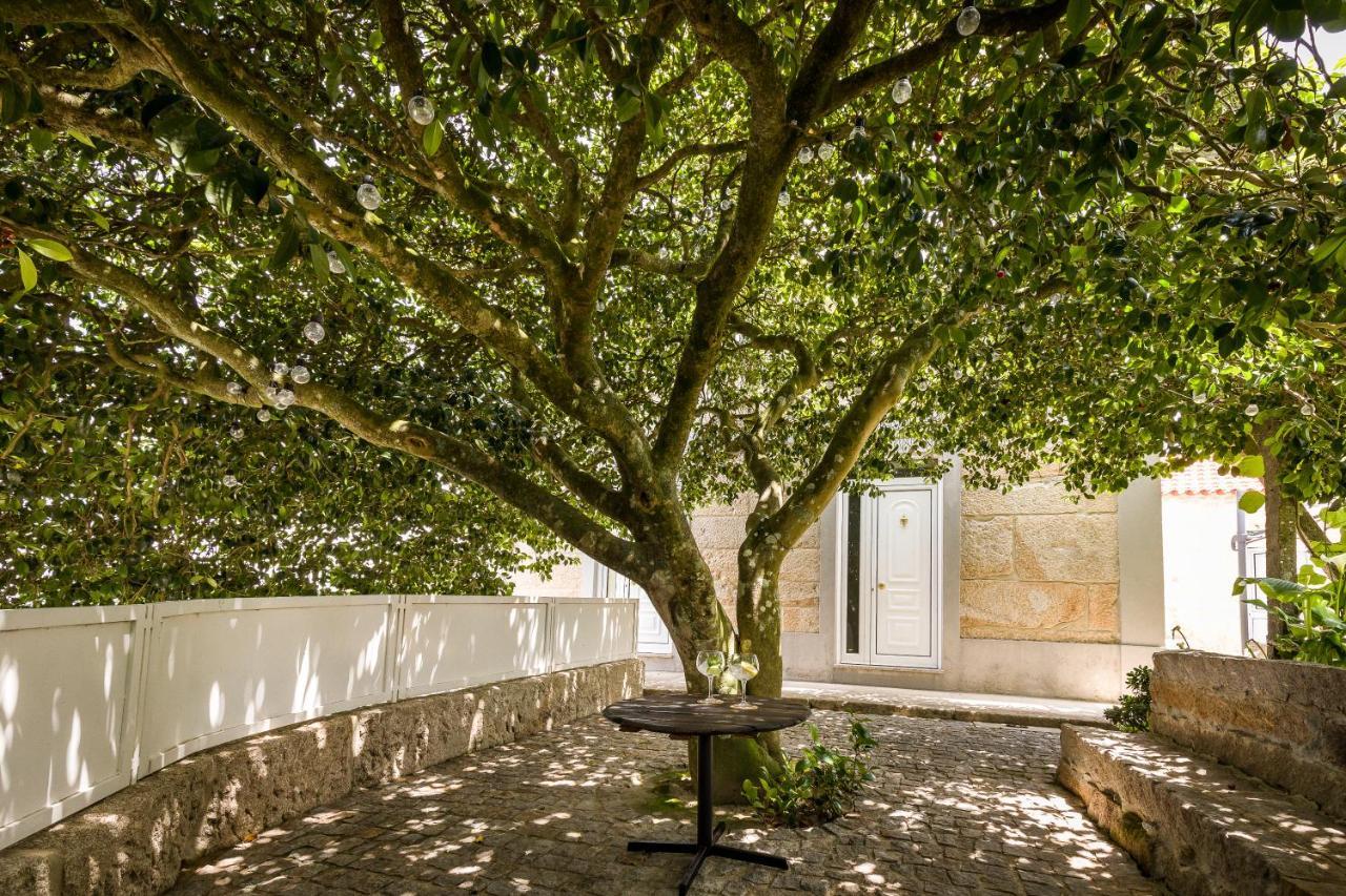 Casa De Ferreira Cinfaes Villa Eksteriør bilde